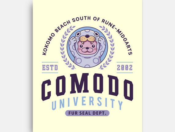 Comodo University