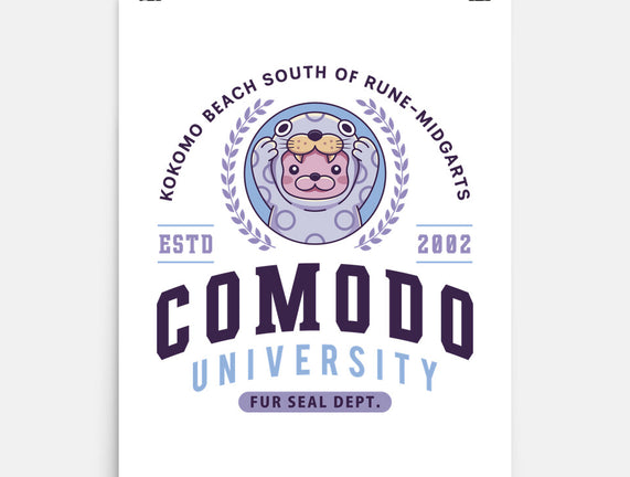 Comodo University