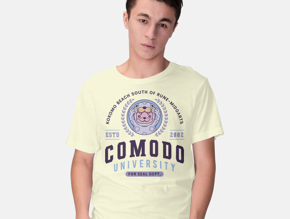 Comodo University