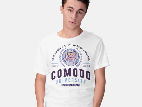 Comodo University