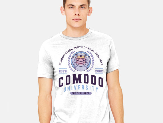 Comodo University