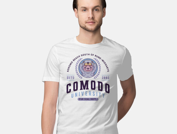 Comodo University