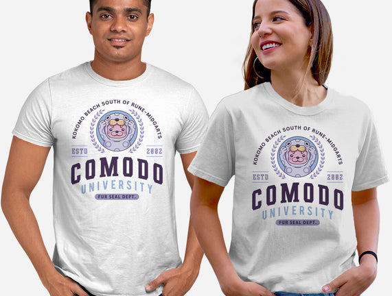 Comodo University