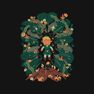 Minish Boy And Gnomes