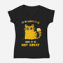 It Is Not Great-Womens-V-Neck-Tee-kg07