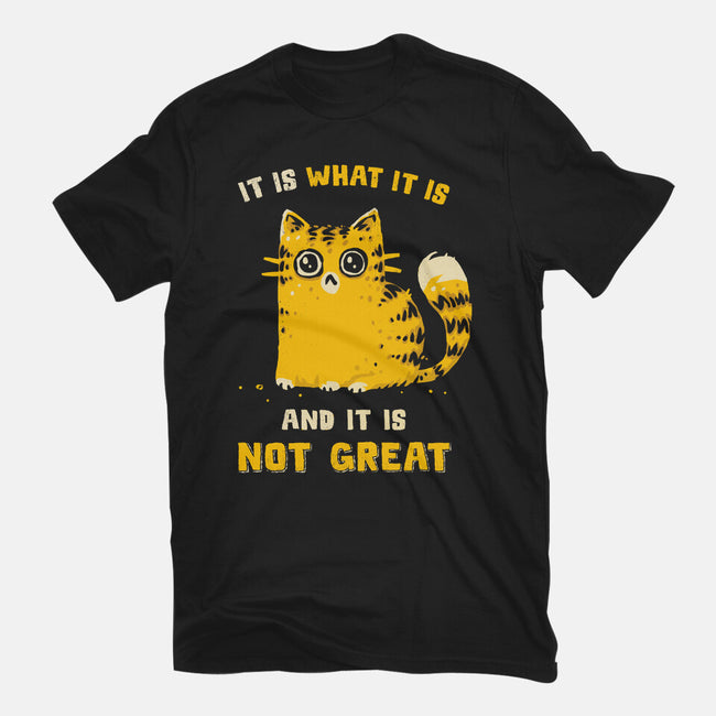 It Is Not Great-Mens-Basic-Tee-kg07