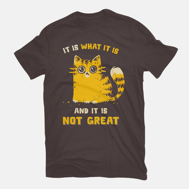 It Is Not Great-Mens-Heavyweight-Tee-kg07