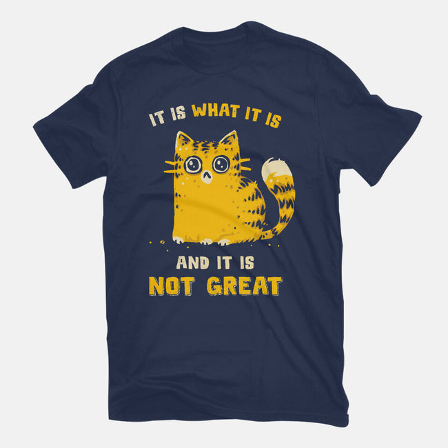 It Is Not Great-Womens-Basic-Tee-kg07