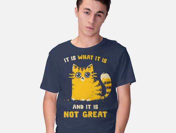 It Is Not Great