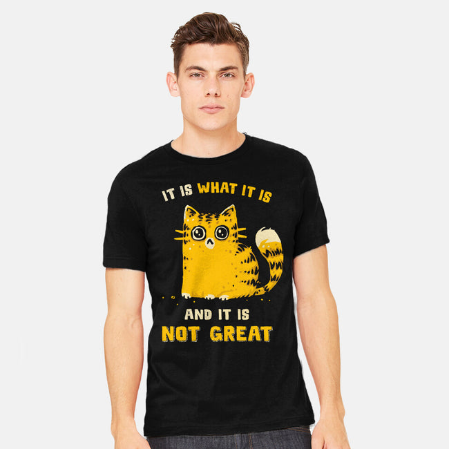 It Is Not Great-Mens-Heavyweight-Tee-kg07