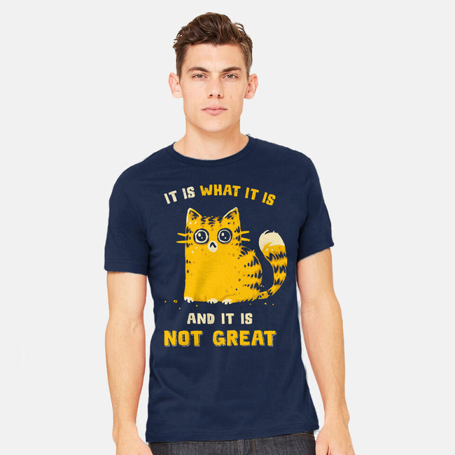 It Is Not Great-Mens-Heavyweight-Tee-kg07