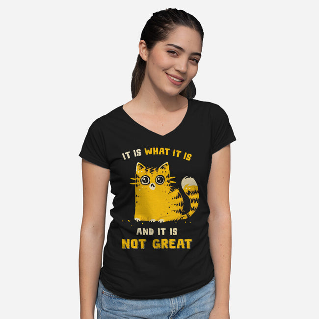 It Is Not Great-Womens-V-Neck-Tee-kg07