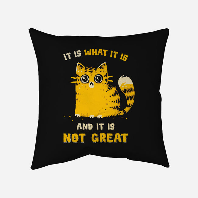 It Is Not Great-None-Removable Cover w Insert-Throw Pillow-kg07