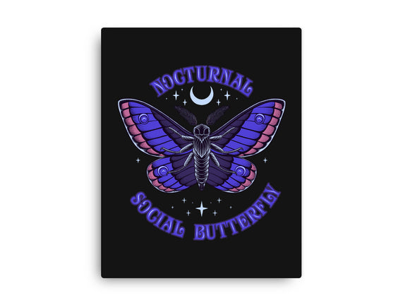 Nocturnal Social Butterfly