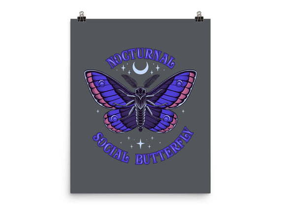 Nocturnal Social Butterfly