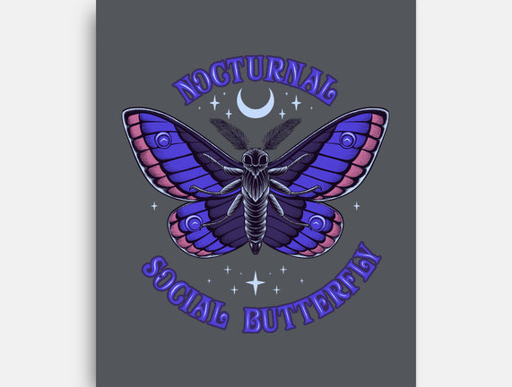 Nocturnal Social Butterfly