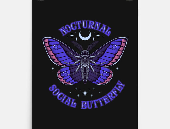 Nocturnal Social Butterfly