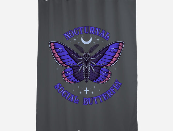 Nocturnal Social Butterfly