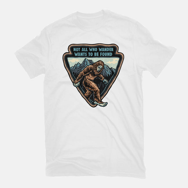 Wandering-Mens-Premium-Tee-glitchygorilla