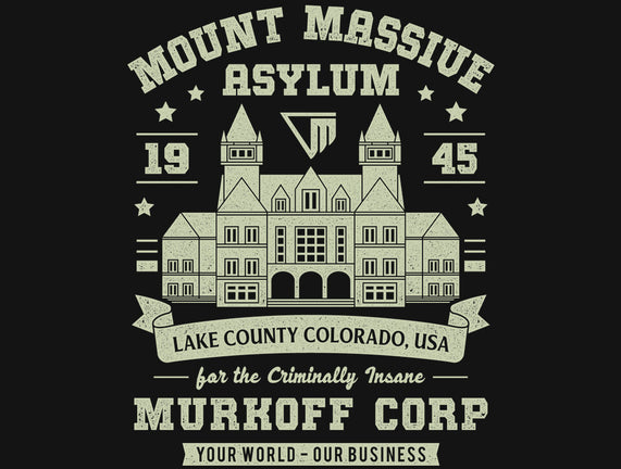 Mount Massive Asylum Vintage