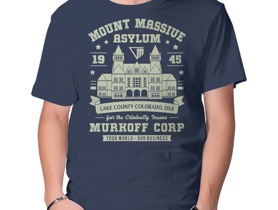 Mount Massive Asylum Vintage