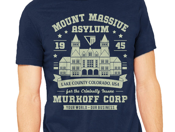 Mount Massive Asylum Vintage