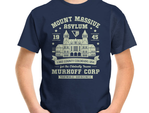 Mount Massive Asylum Vintage