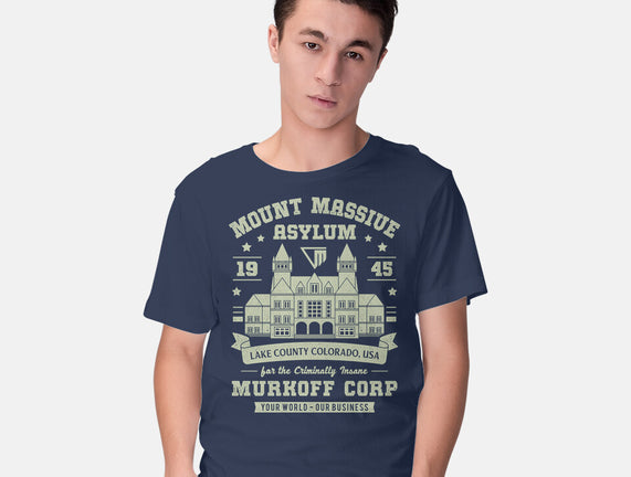 Mount Massive Asylum Vintage