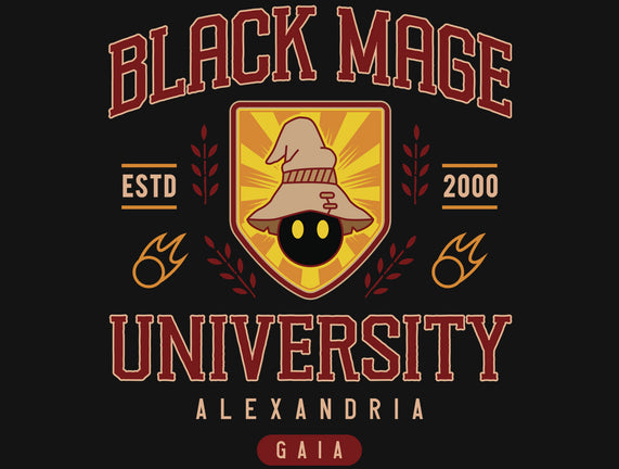 Black Mage University