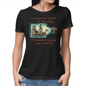 Pirate Ship In A Bottle