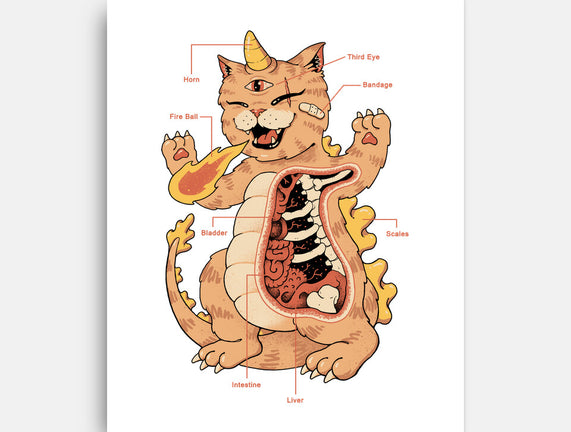 X-Ray Kaiju Meowster