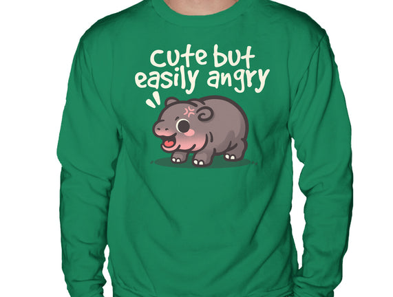 Cute Baby Hippo