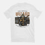 The Guitar Wizard-Womens-Fitted-Tee-glitchygorilla