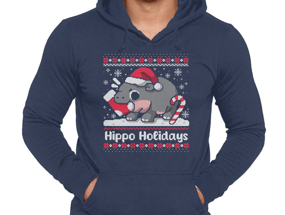 Hippo Holidays