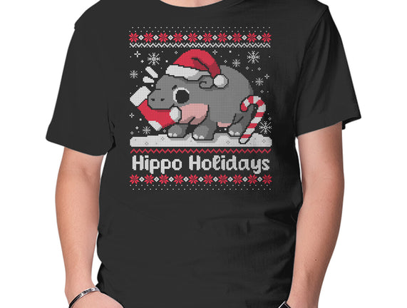 Hippo Holidays