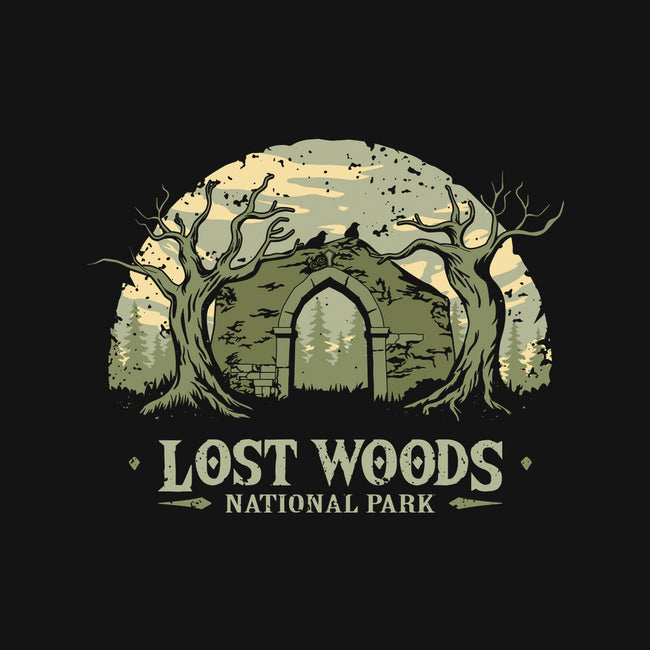 Lost Woods National Park-Womens-Basic-Tee-retrodivision