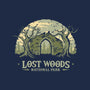 Lost Woods National Park-Youth-Basic-Tee-retrodivision