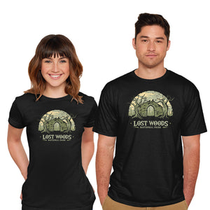 Lost Woods National Park-Mens-Basic-Tee-retrodivision