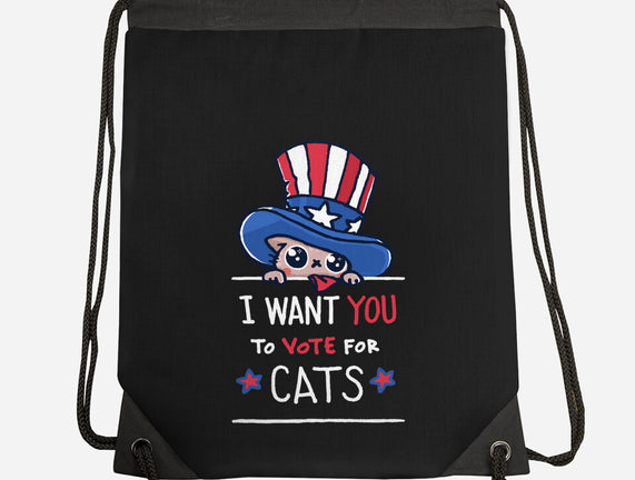 You Should Vote For Cats