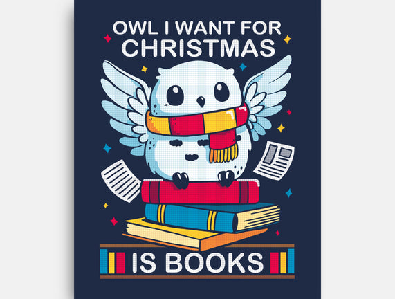 Owl I Want For Christmas Is Books