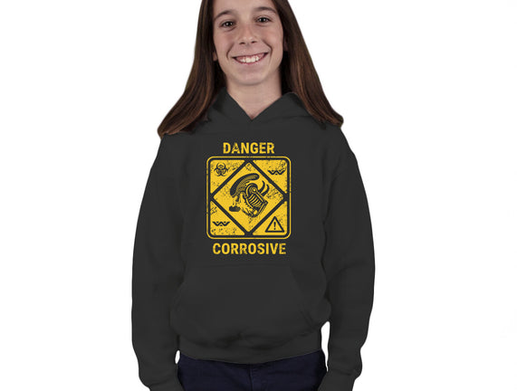 Danger Corrosive