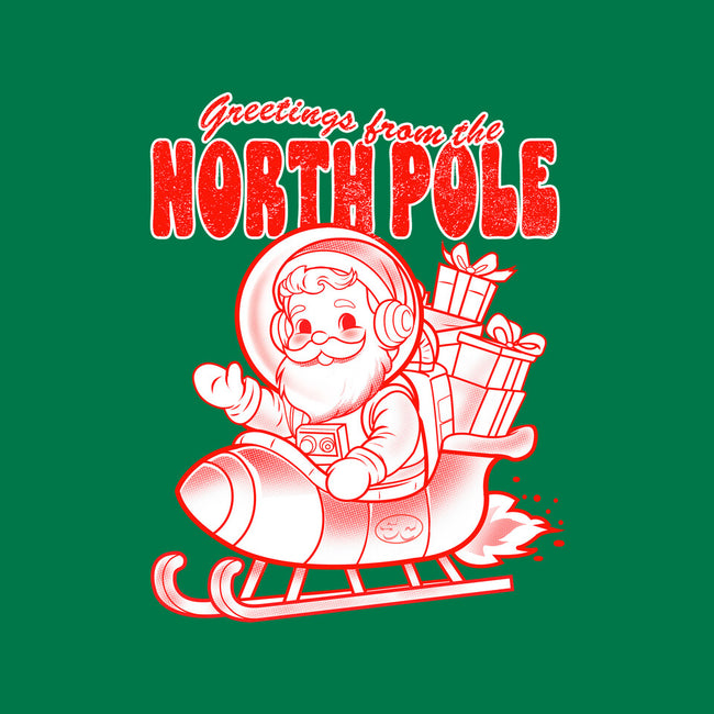 Greetings From The North Pole-Womens-Basic-Tee-palmstreet
