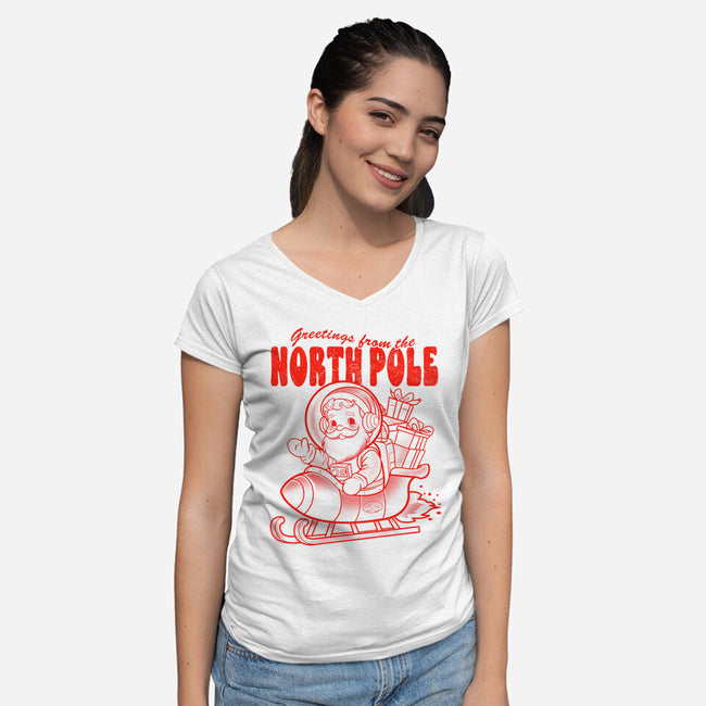 Greetings From The North Pole-Womens-V-Neck-Tee-palmstreet