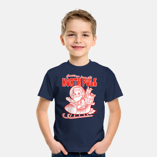 Greetings From The North Pole-Youth-Basic-Tee-palmstreet