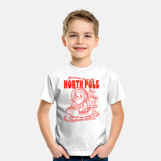 Greetings From The North Pole-Youth-Basic-Tee-palmstreet