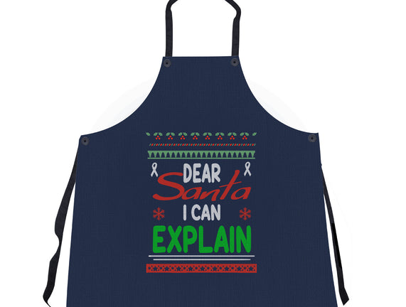 Dear Santa I Can Explain