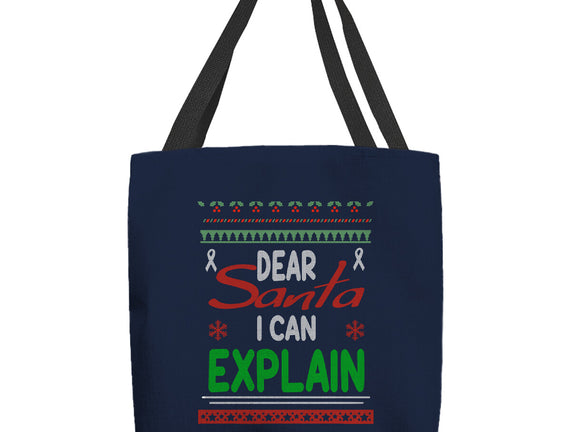 Dear Santa I Can Explain