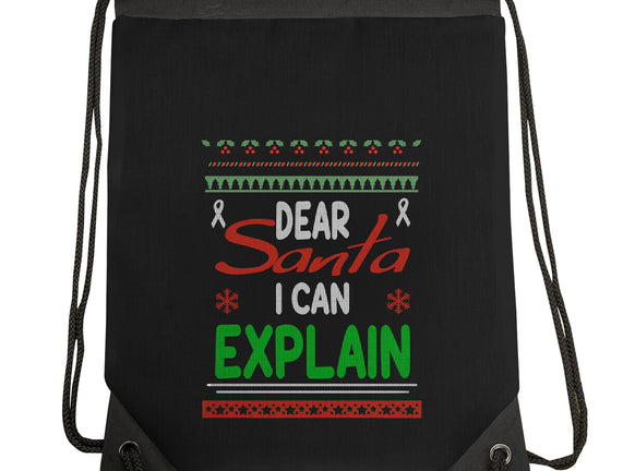 Dear Santa I Can Explain