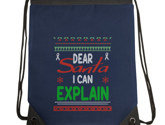 Dear Santa I Can Explain