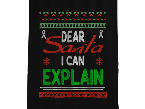 Dear Santa I Can Explain